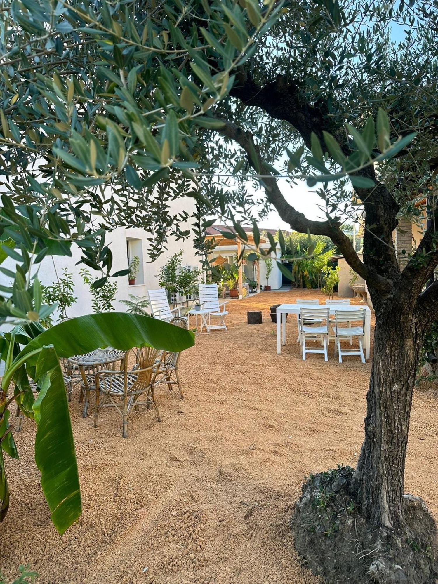 Pathos Guest House Quarto d'Altino Exterior photo